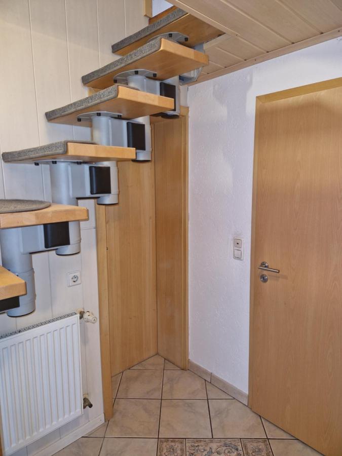 Ferienwohnung Blumenshein Bei Speyer Karlsruhe Familienfreundlich 5 Pers Zeiskam Ngoại thất bức ảnh